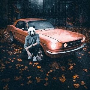 Meet your Posher, Armando